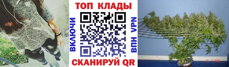 Где продают наркотики Заринск A-PVP  МЕФ  ГАШИШ  АМФ  КОКАИН 
