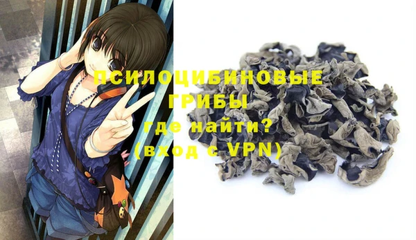 a pvp Абинск