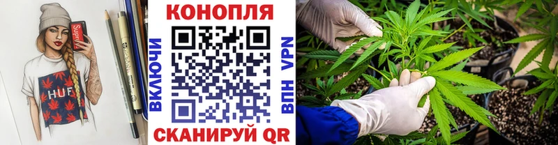 Бошки марихуана ГИДРОПОН  Заринск 